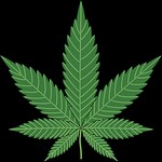 Cannabis et Sexualit Masculine - Du Mythe  La Ralit